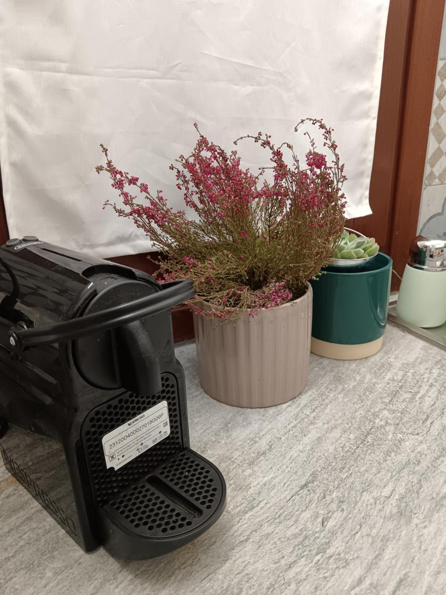 Casa Petri Home Spa 巴勒莫 外观 照片